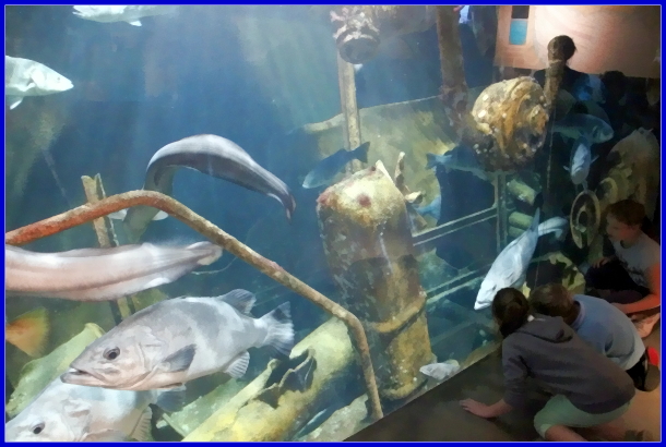 MARÉIS : Centre de découverte de la pêche en mer - Escapade62